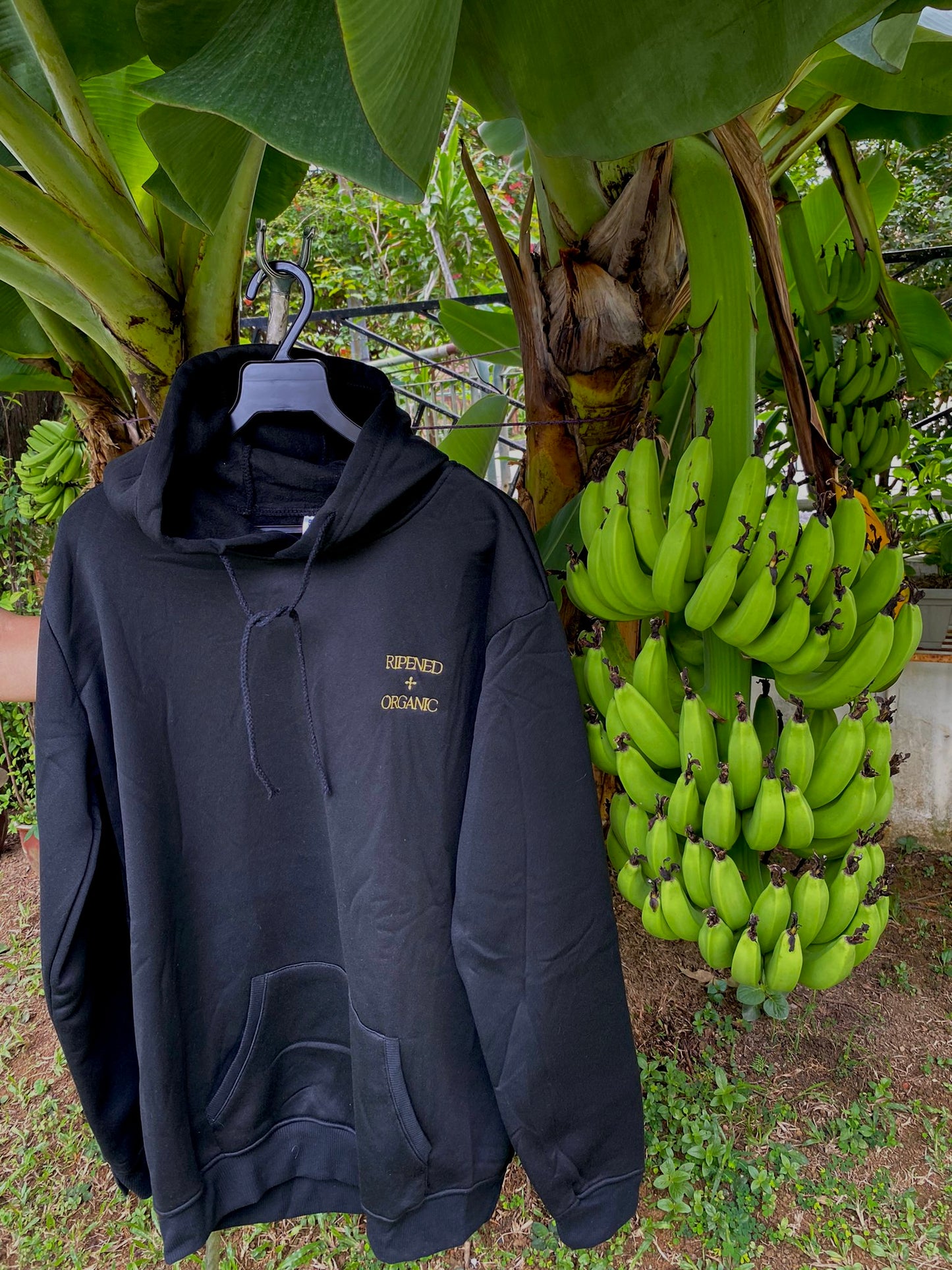 Happiness 'Ripened & Organic' Embroidery Pullover